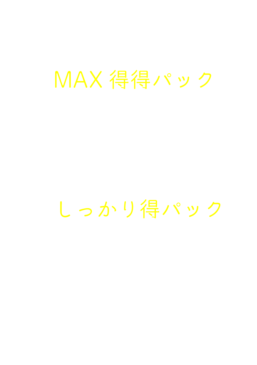 SNS更新代行 激安料金プラン